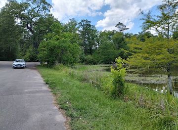 texas/piney-woods/landmark/martin-dies-jr-state-park