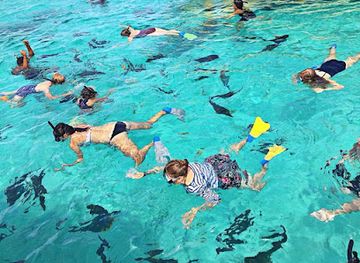 cook-islands/ngatangiia/landmark/captain-tamas-lagoon-cruizes