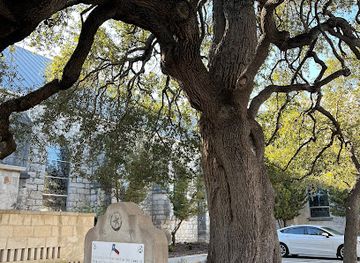 texas/new-braunfels/landmark/church-oak