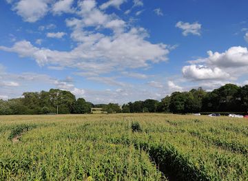 united-kingdom/leicestershire/landmark/wistow-maze