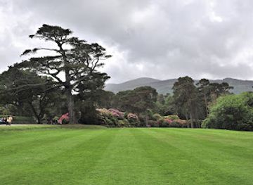 ireland/killarney-national-park/landmark/muckross-horse-riding-centre