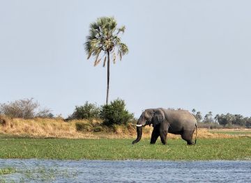 botswana/linyanti-wildlife-reserve/landmark/moremi-game-reserve