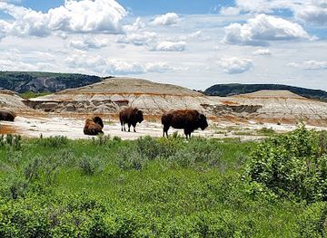 north-dakota/theodore-roosevelt-national-park/landmark/south-unit-visitor-center