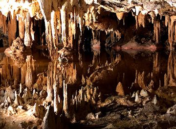 virginia/luray-caverns/landmark/the-rope-adventure-park-at-luray-caverns