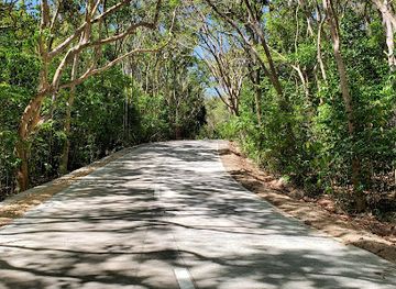philippines/visayas/landmark/salagdoong-forest