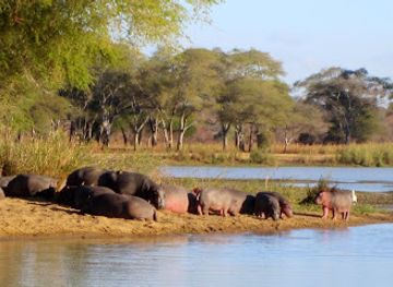 malawi/majete-wildlife-reserve/landmark/vwaza-marsh-wildlife-reserve