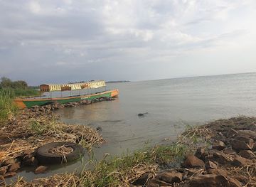kenya/kisumu/landmark/kenya-wildlife-impala-park