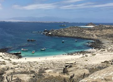chile/coquimbo-region/landmark/humboldt-penguin-national-reserve