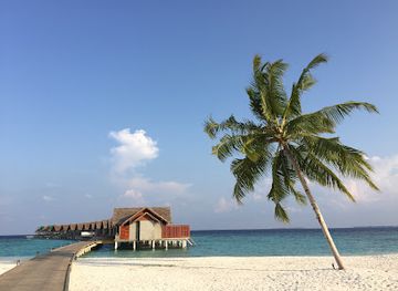 maldives/raa-atoll/landmark/furaveri