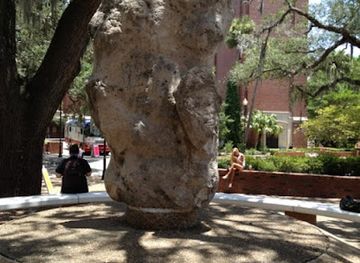 florida/north-florida/landmark/turlington-rock