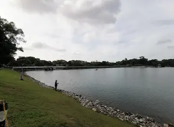 MacRitchie Prunus Trail