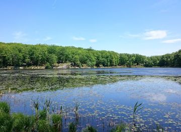 connecticut/danbury/landmark/ives-trail