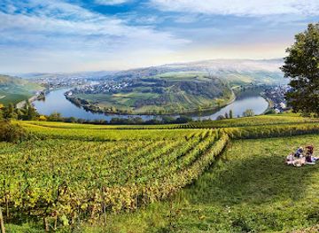 luxembourg/moselle-valley/landmark/luxembourg-for-tourism-visit-luxembourg