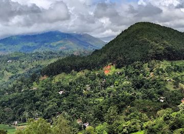 sri-lanka/ella/landmark/ella-tuk-tuk-tours-with-dilshan