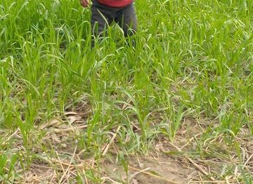 india/bihar/landmark/heart-of-bihar