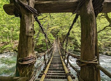 japan/shikoku-island/landmark/oku-iya-double-vine-bridge