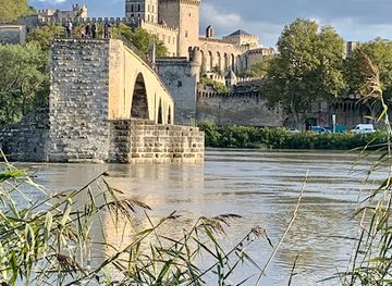france/avignon/pont-saint-benezet/landmark/pont-saint-benezet