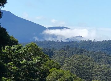 australia/atherton-tablelands/landmark/rose-gums-wilderness-retreat