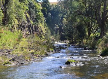 australia/northern-rivers/landmark/border-ranges-national-park