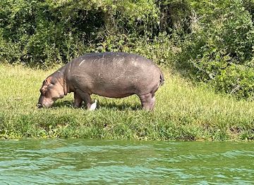 uganda/bukedi/landmark/prime-safaris-tours-ltd