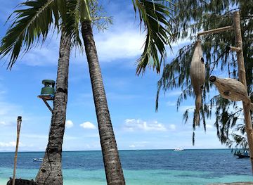 philippines/malapascua-island/landmark/sea-explorers-malapascua
