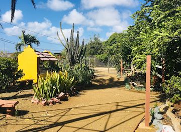 curacao/brievengat/landmark/den-paradera-herb-garden-curacao-by-dinah-veeris