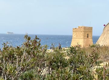malta/zurrieq/landmark/blue-grotto-boat-service