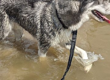 indiana/muncie/landmark/washington-street-bridge