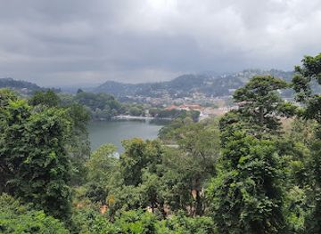 sri-lanka/kandy-district/landmark/udawatta-kele-sanctuary