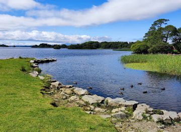 ireland/killarney-national-park/landmark/ross-castle