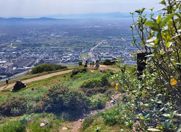 south-africa/table-mountain-national-park/landmark/newlands-forest