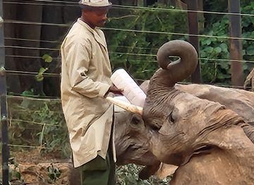 kenya/kitui-plains/landmark/ithumba-camp
