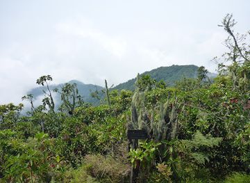 sao-tome-and-principe/trindade/landmark/pico-de-sao-tome