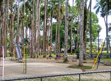 suriname/moengo/landmark/palmtree-garden