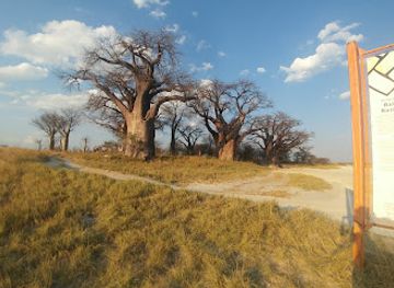 botswana/makgadikgadi-pans/landmark/nxai-pan-national-park