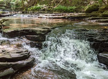 tennessee/northern-middle-tennessee/landmark/grundy-forest-state-natural-area-at-south-cumberland-state-park