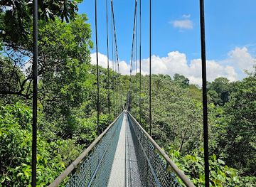 singapore/coney-island/landmark/treetop-walk