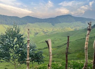 rwanda/gishwati-mukura-national-park/landmark/gishwati-mukura-national-park-and-biosphere-reserve