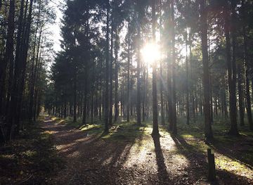 netherlands/betuwe/landmark/westerrode