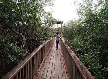 grenada/saint-patrick/landmark/levera-national-park