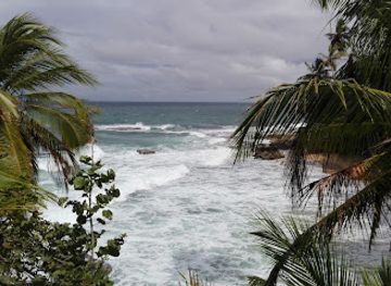 costa-rica/caribbean-coast/landmark/jaguar-rescue-center