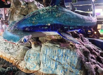 bangladesh/cox-s-bazar/landmark/kolatoli-shark-point