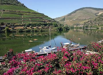 portugal/douro-valley/landmark/anima-durius