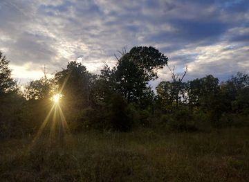tennessee/duck-river-valley/landmark/vesta-cedar-glade-designated-state-natural-area