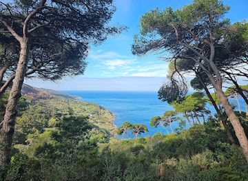 morocco/tangier-region/landmark/rmilat-park