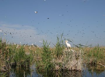 azerbaijan/ali-bayramli/landmark/agh-gol-national-park