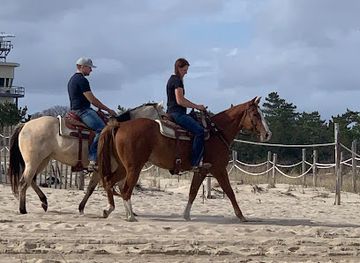 delaware/delmarva-peninsula/landmark/delmarva-pennisula