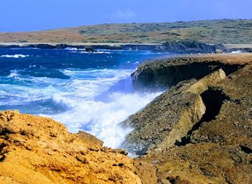 aruba/california-lighthouse/landmark/aruba-aloe-factory-museum-and-store