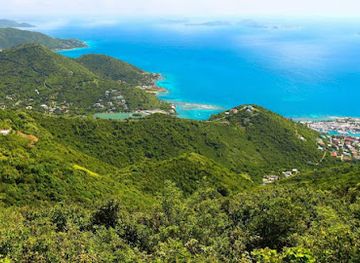 british-virgin-islands/guana-island-hiking-trails/landmark/mount-sage-national-park