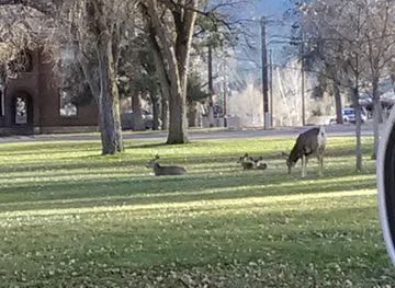colorado/salida/landmark/thonhoff-park